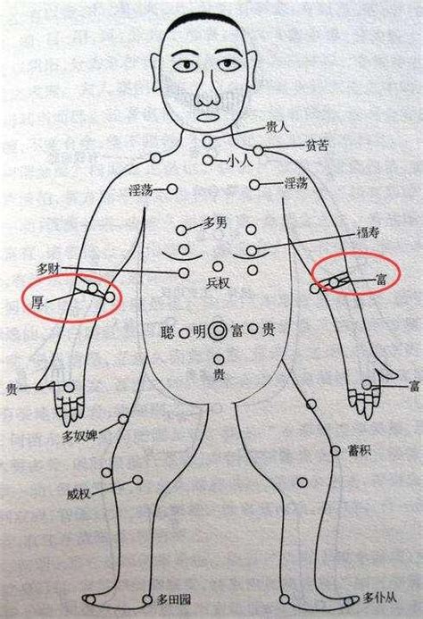 手臂上有痣|從手上的痣看你的好運在哪？上手臂有痣善於 ...